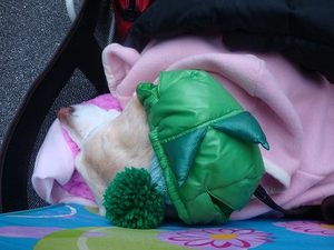 重ね着怪獣『ヴィキゴン』
