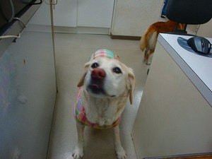 大きな勘違い2連発!