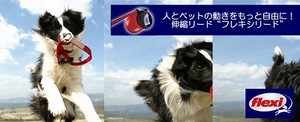 伸縮リードのメリットって?