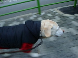 『気持ちを伝える言葉』って