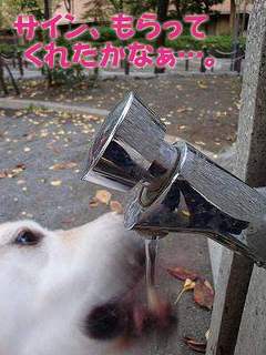 木山裕策つながりで♪