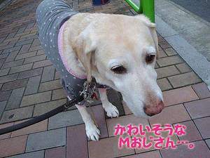 木山裕策つながりで♪