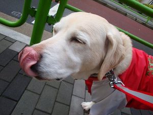 修復中の親子関係にまた溝が…。