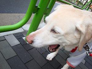 修復中の親子関係にまた溝が…。