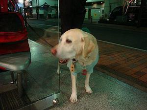 日本橋へ『3674歩×2』の旅