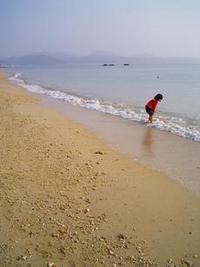 ふりっぱー隣接する海岸