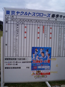 ヤクルトキャンプ日程