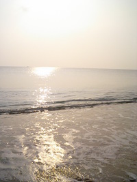 沖縄の海