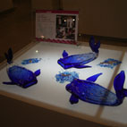 2008琉球ガラス村デザインコンテスト入賞作品