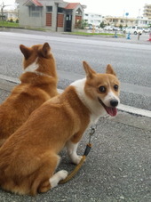 GW明けましたね