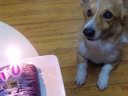 10歳になりました
