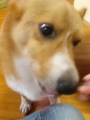 10歳になりました