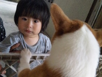 ももちゃん☆