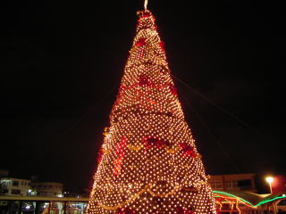 去年のクリスマス　沖縄こどもの国