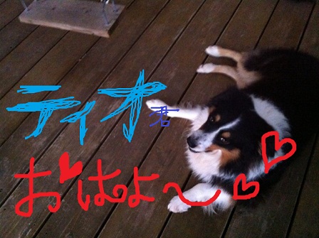 太陽さんさん♪