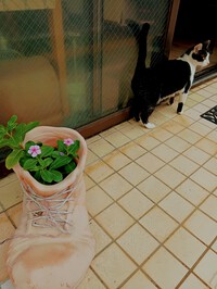年末年始営業時間について 年末年始営業時間について