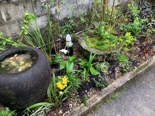 玄関前の植栽 玄関前の植栽