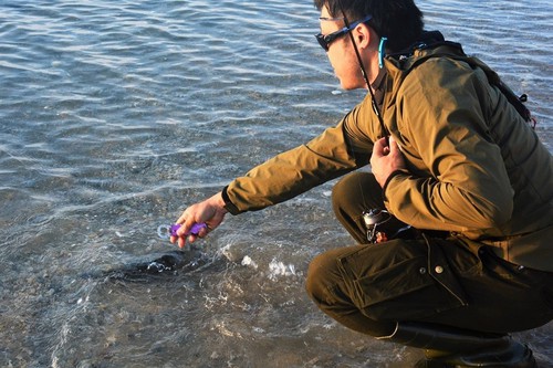 釣りをする人 釣りをする人