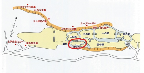 中城城趾のツワブキ 中城城趾のツワブキ