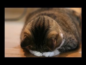 難度海を渡る・・・人生でもっともキツイ難題が降りかかってきたとき 難度海を渡る・・・人生でもっともキツイ難題が降りかかってきたとき