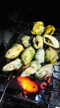 魚調達新築脱糞自転車回転週末