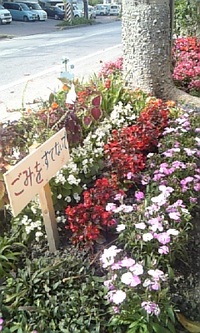 ガマンの時期 2008/04/07 20:06:42