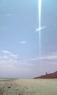 夏の気配ですね 2008/04/09 13:44:03