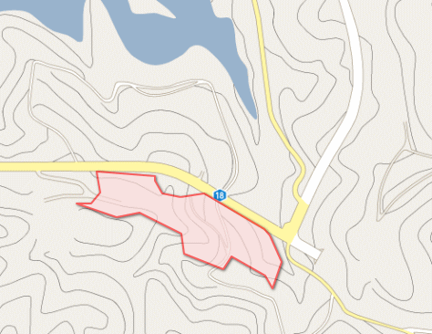 nago ame map 売山林：名護市県道１８号線沿６,６４６坪！川付き