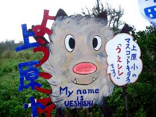 癒しの上原小