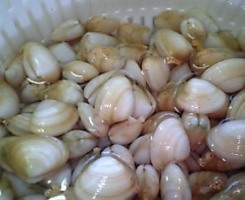 潮干狩り