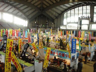 離島フェアと八重泉古酒