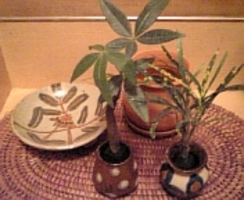 ありがとうございました!