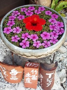 竹富島へ