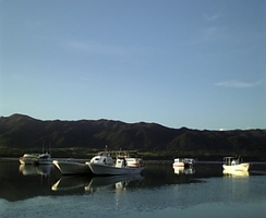 朝の川平湾