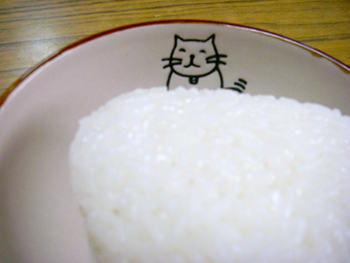 癒しの小皿