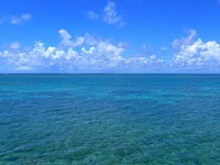 石垣の海