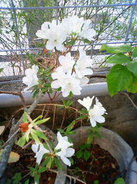 2011年03月14日