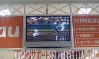 恒例 2008/04/02 16:11:11
