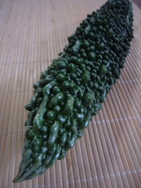 庭で。。。。 2008/07/13 06:45:14