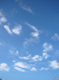 夢☆ 2008/07/16 11:47:02