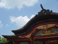 紅 2007/05/24 00:01:00
