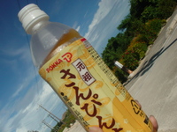 さんぴん茶がしみる～ 2007/07/06 00:00:00