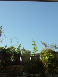 空が淡い青になりつつ 2007/09/08 08:00:00