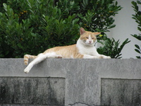 かっちょいい〜〜〜〜〜〜〜！ 2008/07/29 07:26:02