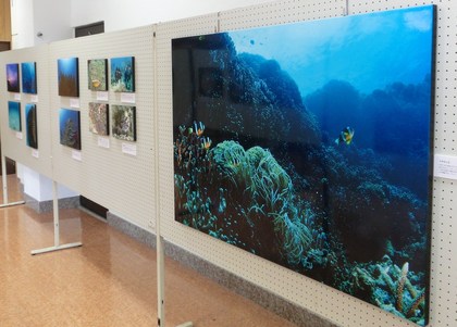 さいとうやすゆき写真展 in わんさか大浦パーク!!