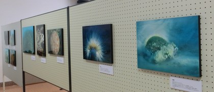 さいとうやすゆき写真展 in わんさか大浦パーク!!