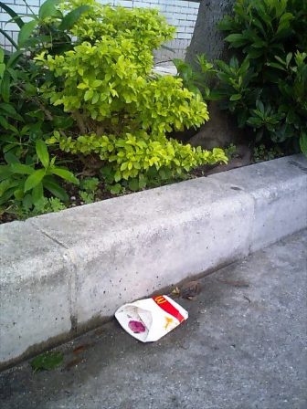 外来種！？