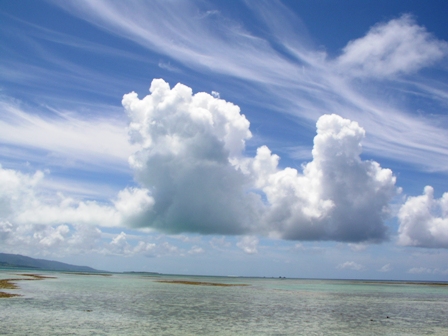 夏の雲