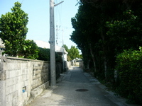 2006夏 2006/07/27 20:57:57