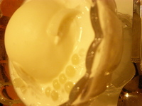 少し復活 2006/06/09 23:42:00